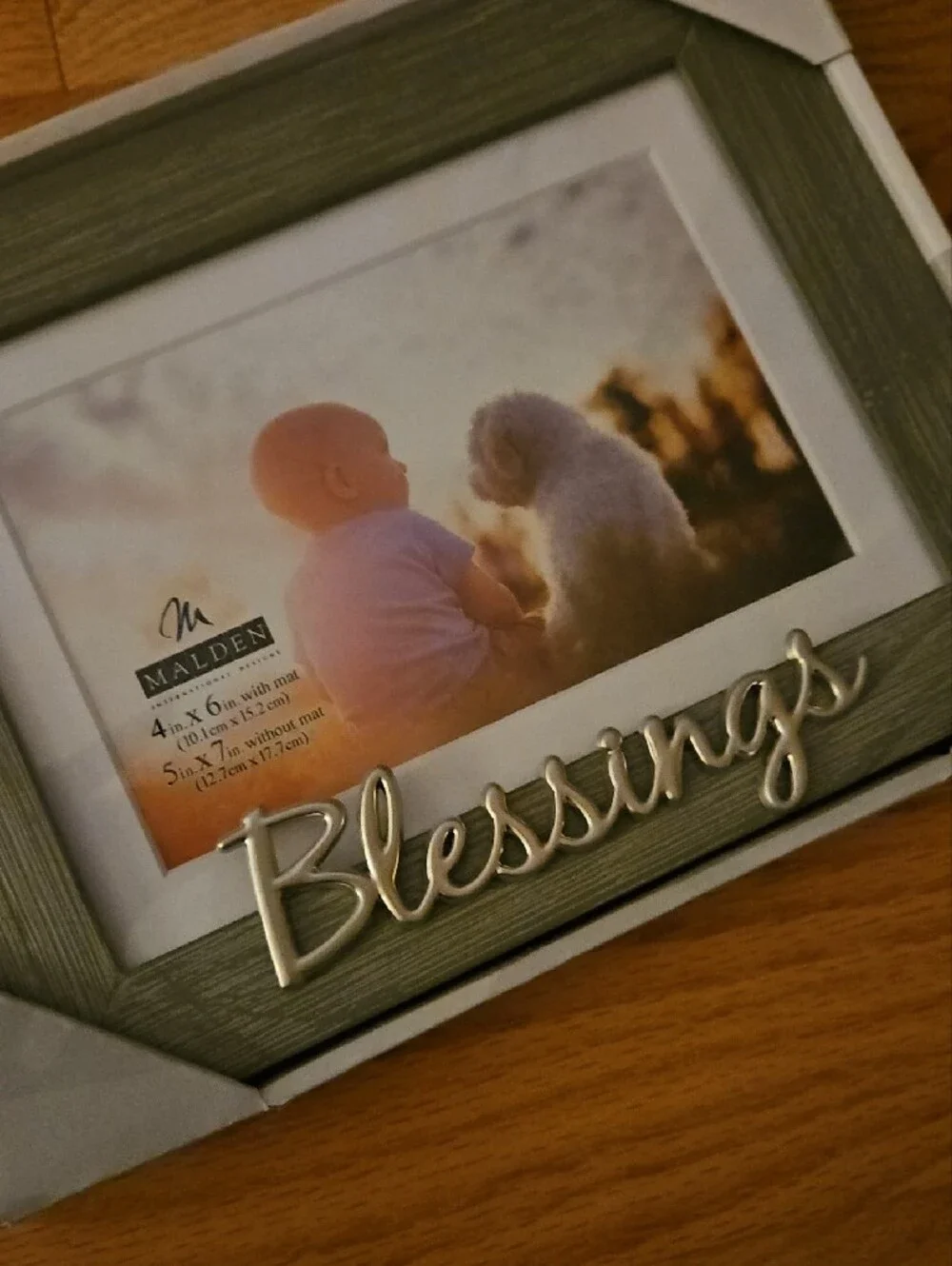 Malden Gray Wood Photo Frame Pair with Silver Script Accents